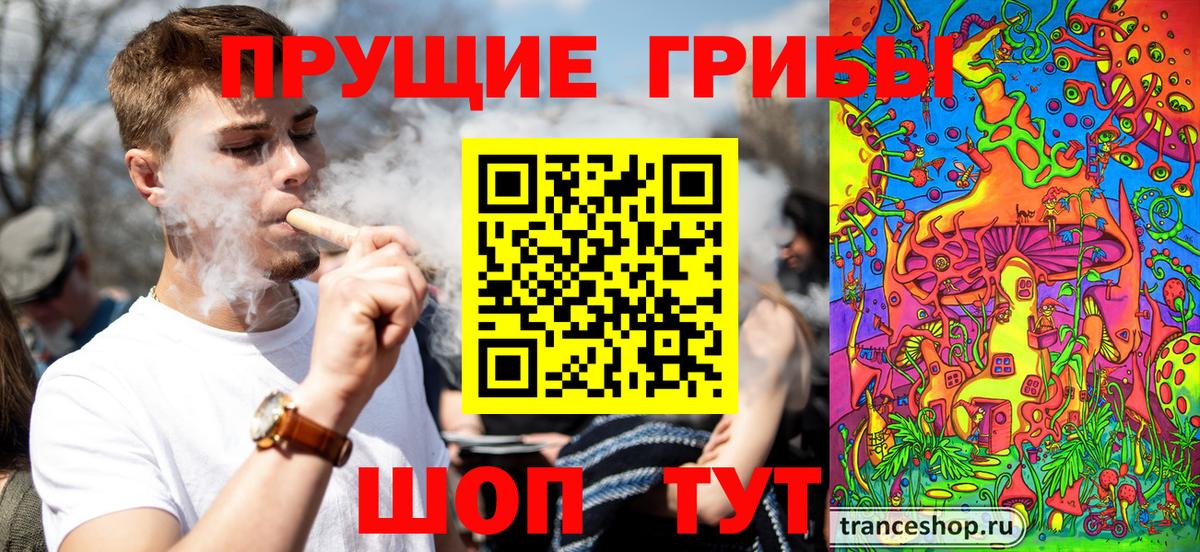 Псилоцибиновые грибы прущие грибы Чебоксары