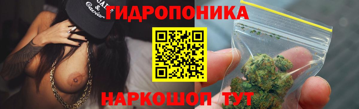 Канабис семена  Канабис OG Kush  Вход с VPN  Чебоксары  Канабис ГИДРОПОН 